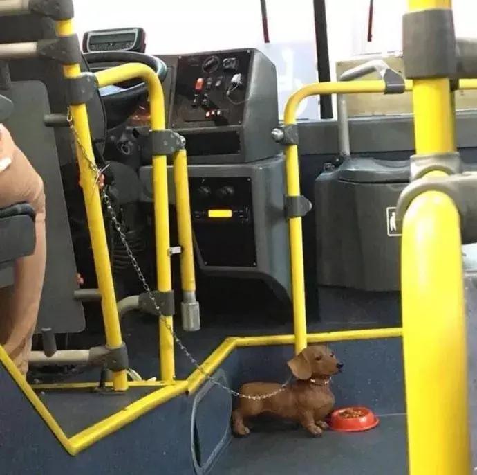 男子门口入室抢劫监控拍下全过程,小伙入室抢劫却遇到更可怕的东西