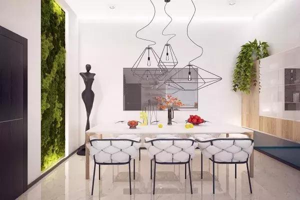 墙上种什么植物最好,景观墙上盆栽什么好看