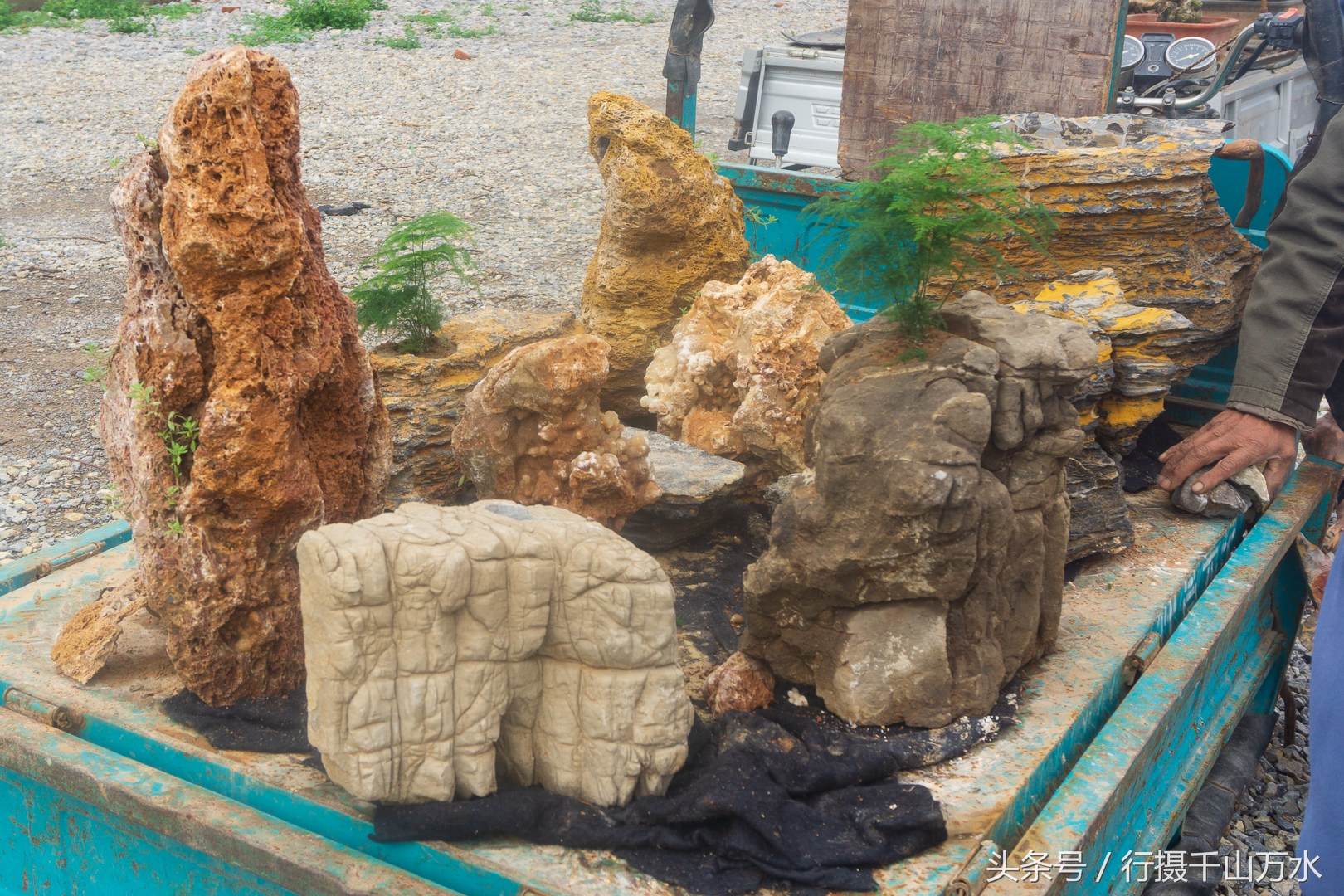 农村常见的树根摆件,农村树根制作工艺品