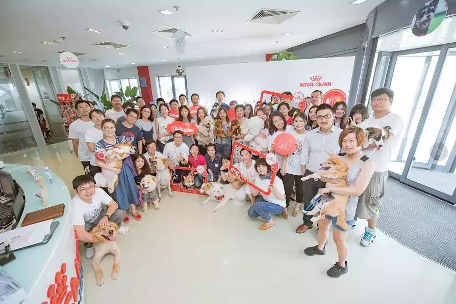 玛氏中国新消息,玛氏中国发展历程