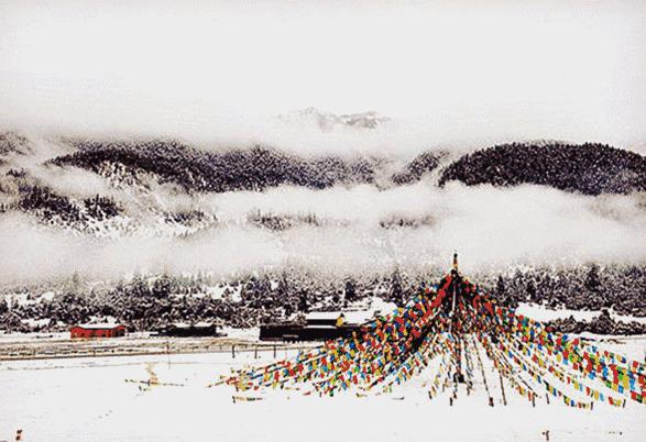 浙江省衢州市养生补贴,衢州旅游景点对全国医护人员免费