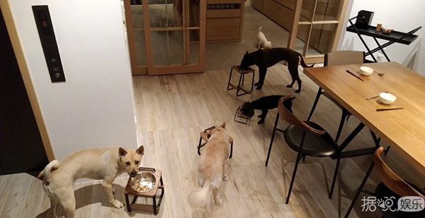 带有足球场的别墅,足球场别墅效果图