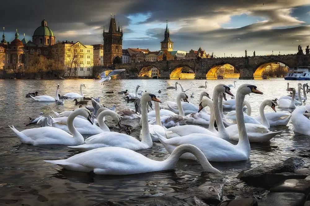 一杯咖啡50块钱,一杯咖啡5元