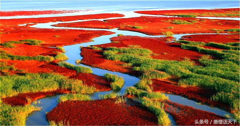 歪果仁眼中中印,歪果仁看红海行动