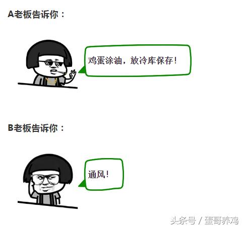 如何提高养鸡的鸡蛋品质,养鸡秘诀学会这几招