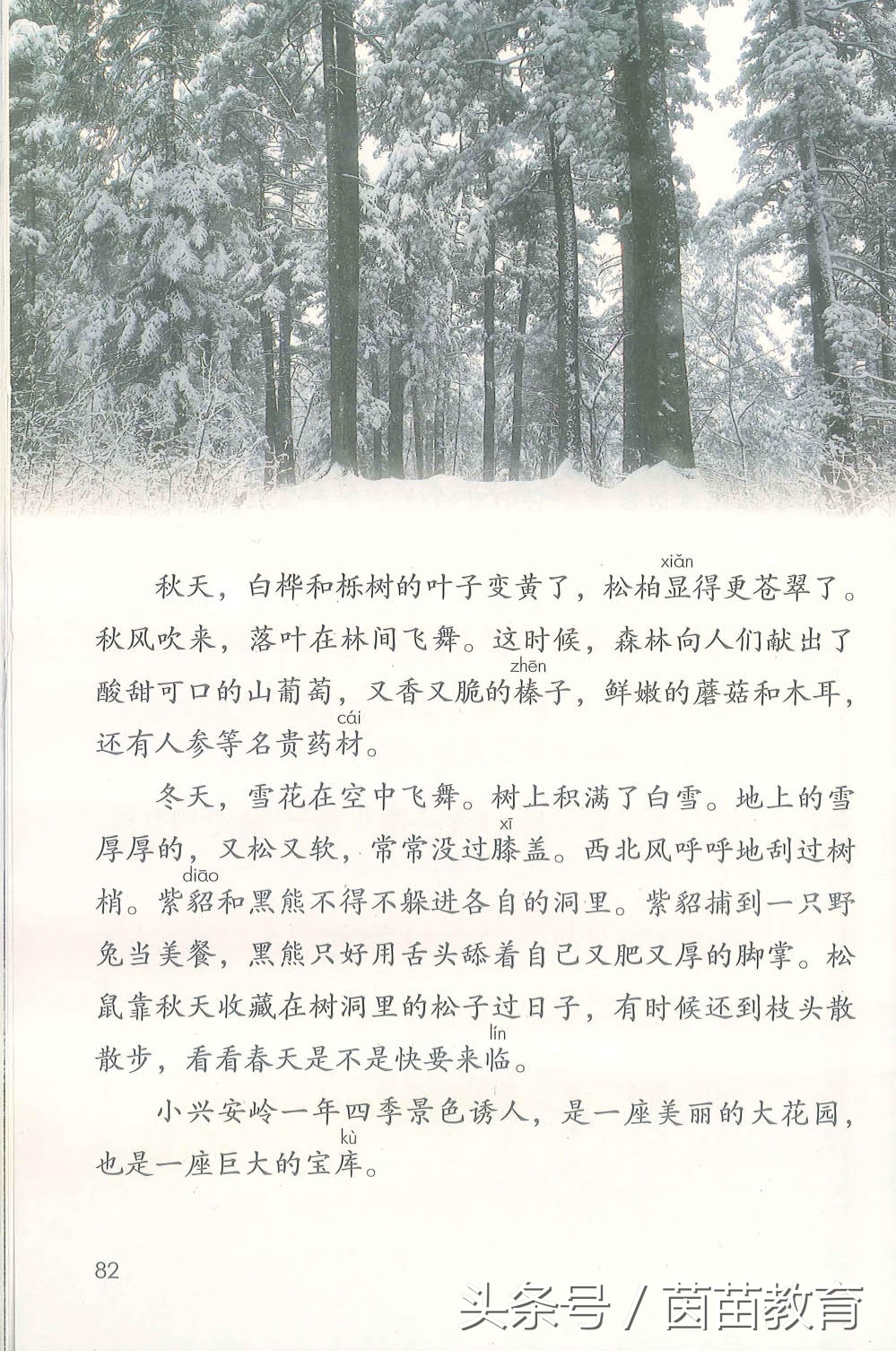 部编新人教版三年级下册语文书,部编版新人教版三年级语文