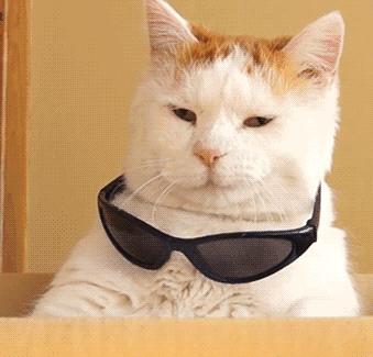 史上最强户外防晒,最强防晒单品