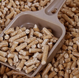 龙猫尿布有用吗 (龙猫厕所尿布)