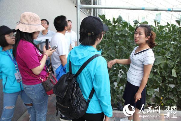 大荔县美丽乡村成果,大荔乡村振兴工作