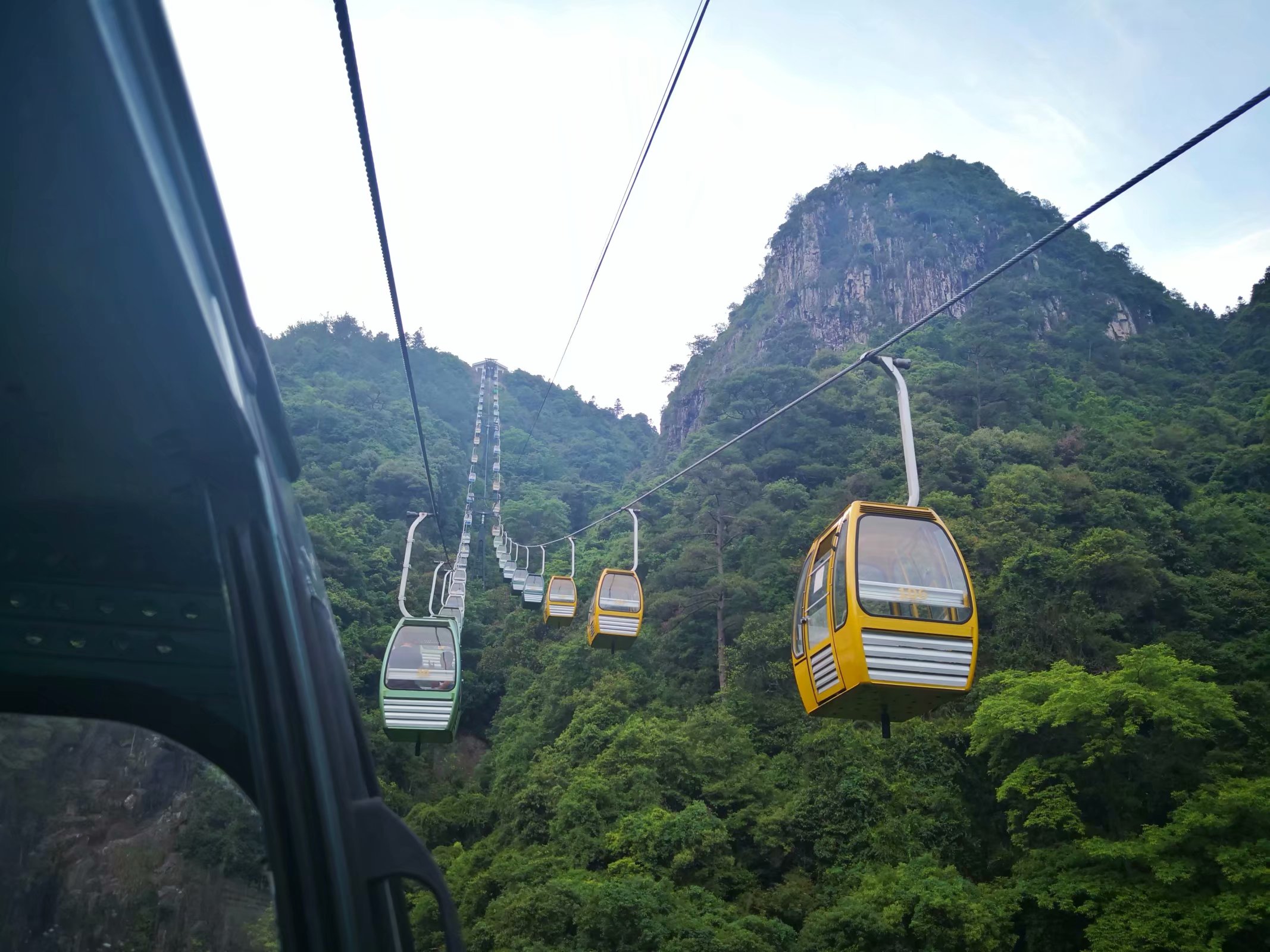 福建儿时的记忆山上的野果,福建山上秋天野果