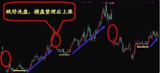 中国股市迷途中的股民,股市惨烈时股民应该如何应对