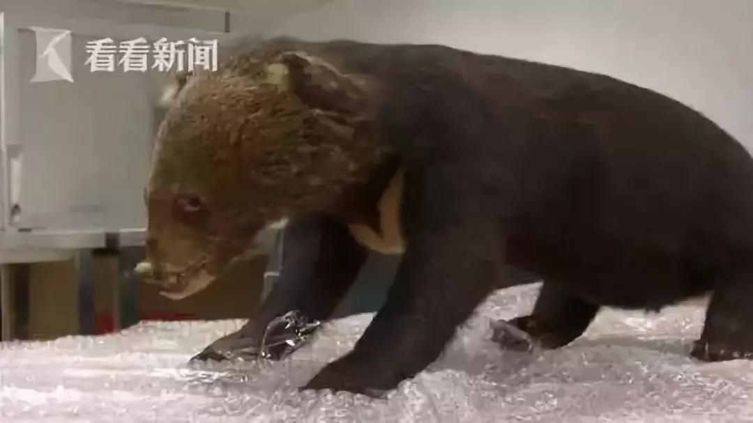 代购背后的骗局,代购十大骗局揭秘图