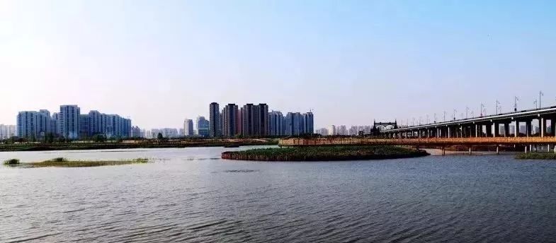 黑龙江省入围百强城市排名2020,2021年中国百强城市黑龙江