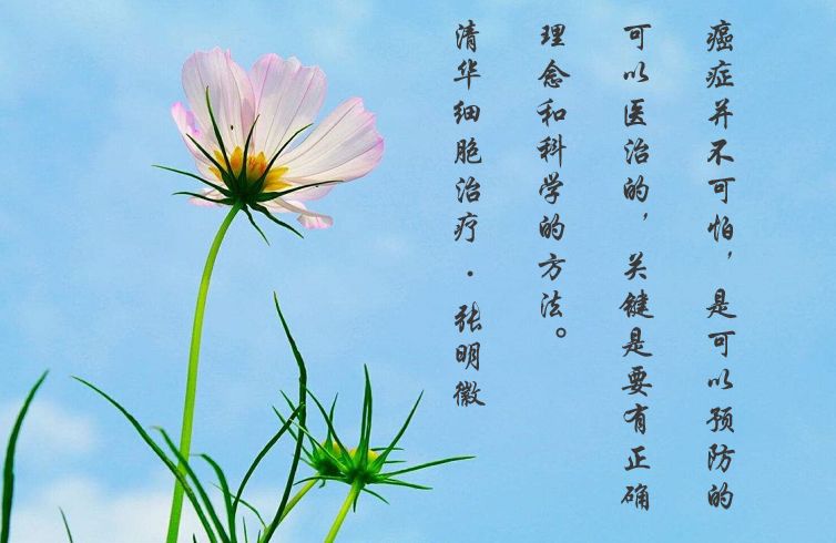 胰腺癌lla期,胰腺癌sbrt能治愈吗