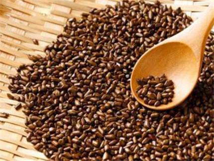 决明子专治十种病,决明子治什么病最有效