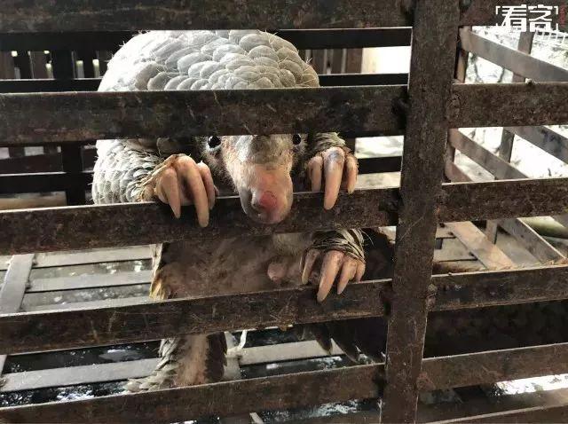 朋友圈里卖低价服装的真相,揭露各种海外代购真相