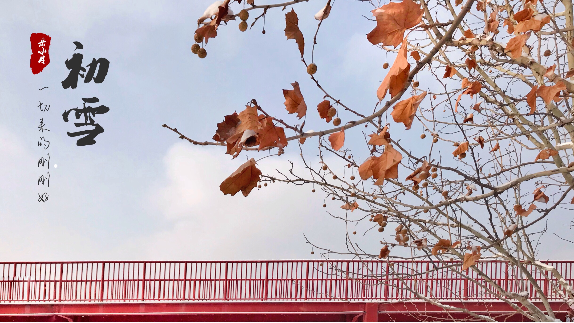 给图片添加标注怎么制作成视频,手机怎么给图片标注文字好看