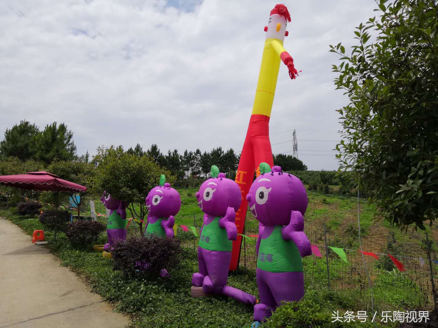 宜昌新林桥打工妹,宜昌工厂打工妹