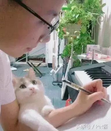 主人专心在创作音乐,不料身旁小猫咪泛起花痴:认真的男人真帅!