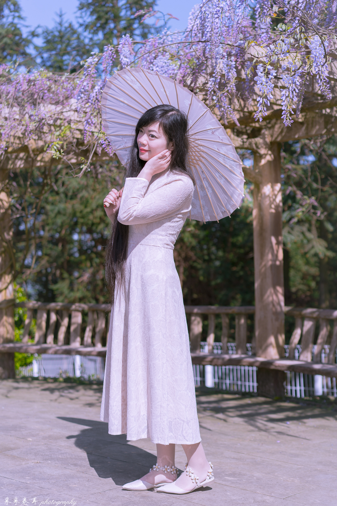 紫藤与晚樱粉紫色的甜蜜梦幻