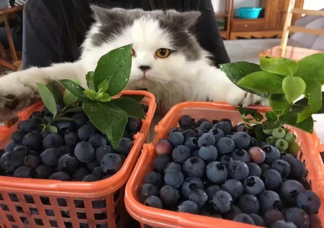 提升团队战斗力的团建活动,团建增强凝聚力