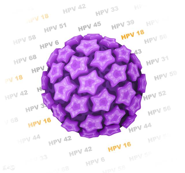 hpv51和52都是阳性如何处理,hpv阳性为什么医生怀疑艾滋病