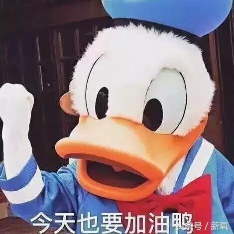 有哪些好用不贵的德国产品,德国化妆品其实比较小众