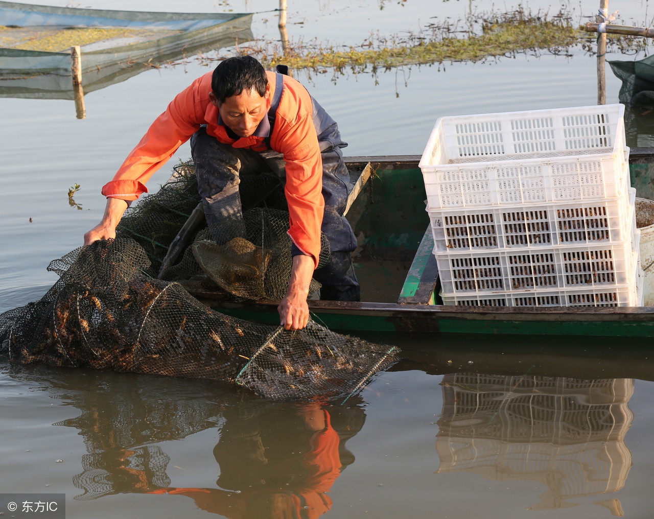 杰哥观市:小龙虾市场风云再起谁能笑傲江湖