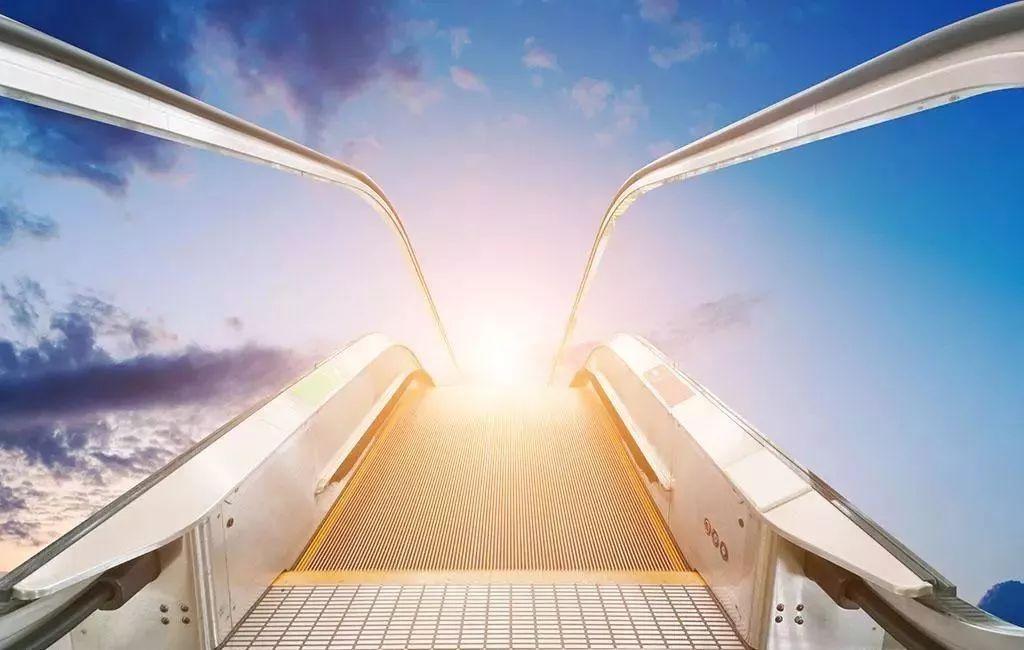 肥胖肠胃不好吃什么,心脑血管病变导致胃不好