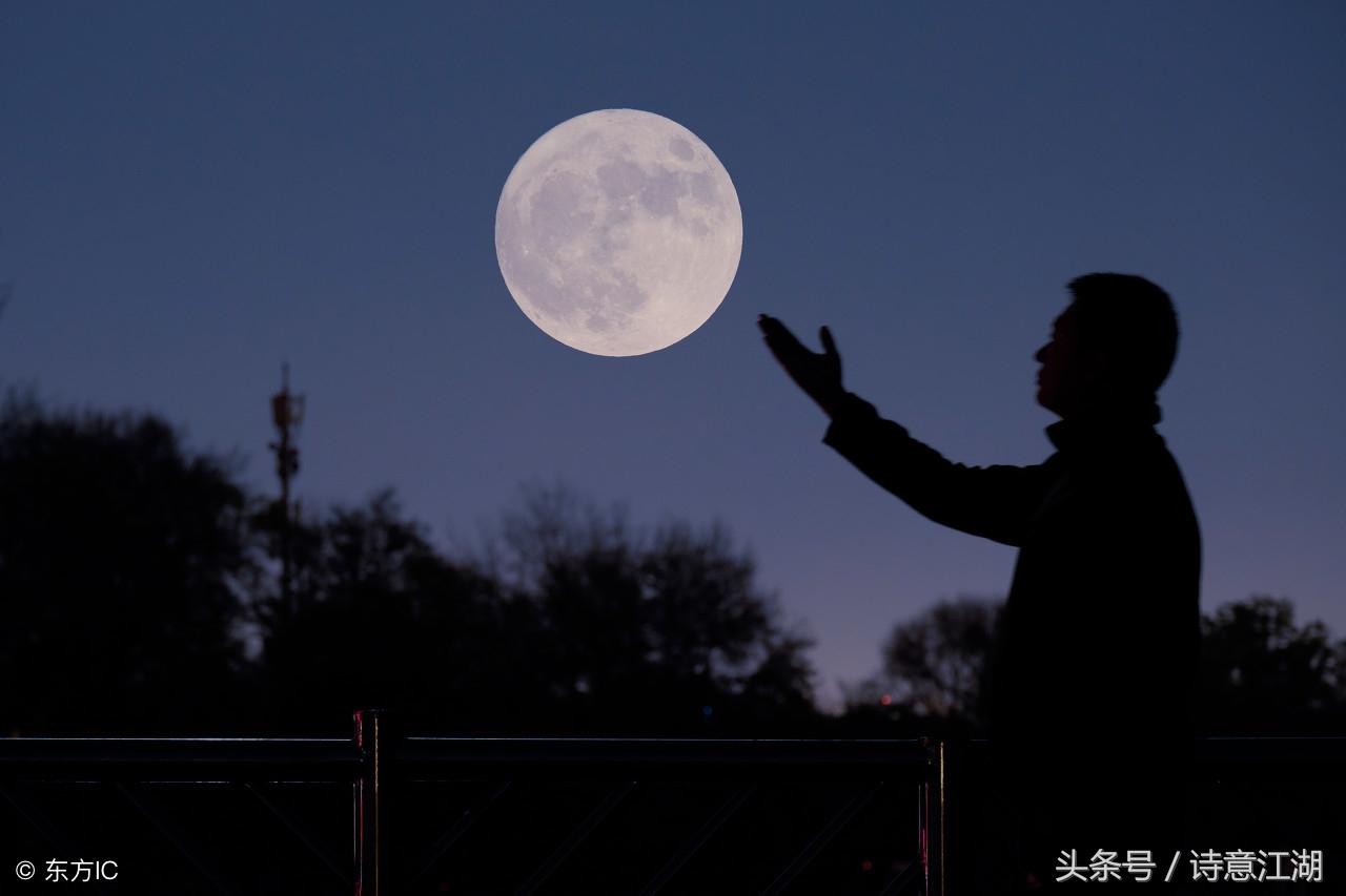 关于月亮的诗句和情感,跟月亮有关的诗句及表达的情感