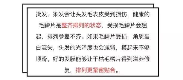 护发发膜推荐测评第一名,油头发膜推荐测评