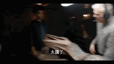 国产电影保护月是真的吗,国产电影保护月