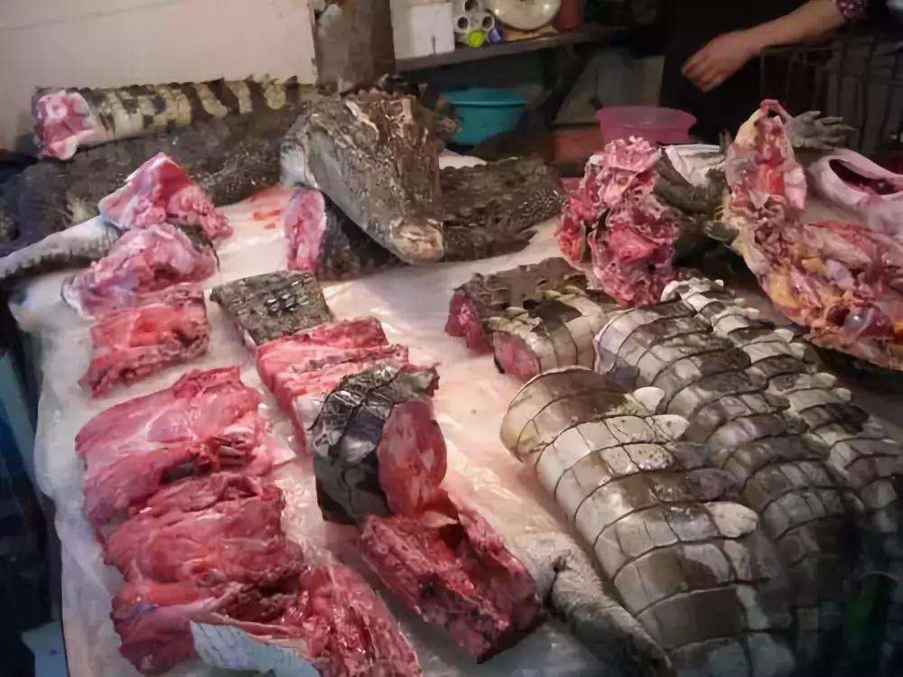 awehome怎么样,awehome靠谱吗