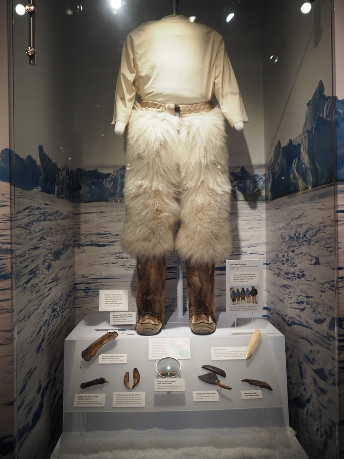 北欧旅游看极光,看极光去黑河还是漠河