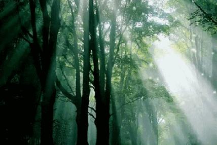 杭州未来生活节预约,杭州国际未来生活节