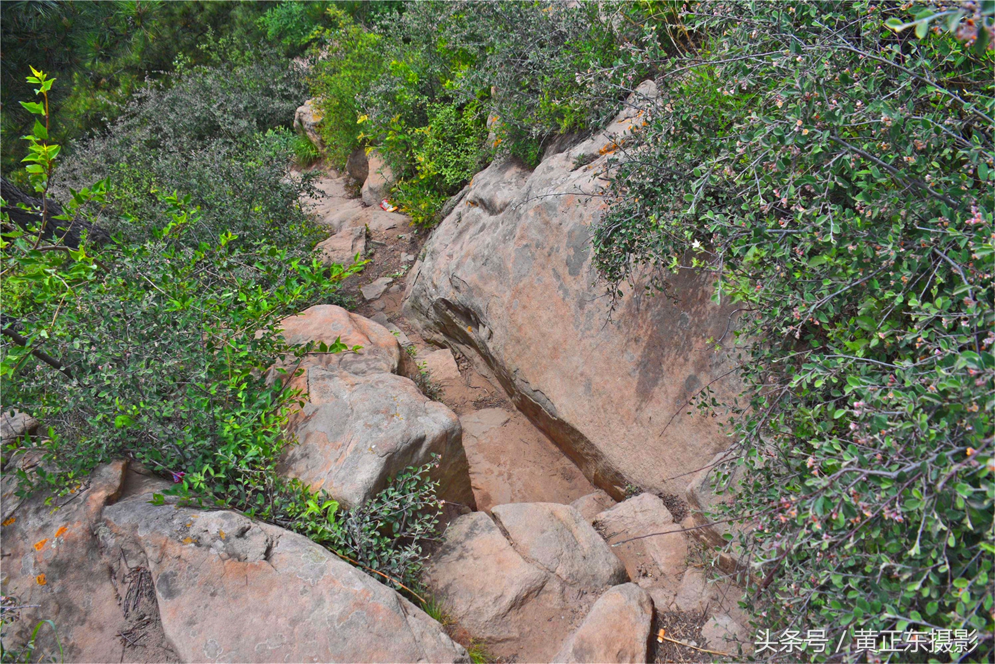 发鸠山旅游攻略,发鸠山神话故事有哪些