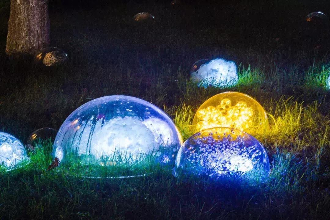 南艺你不知道的事,南艺的真实生活