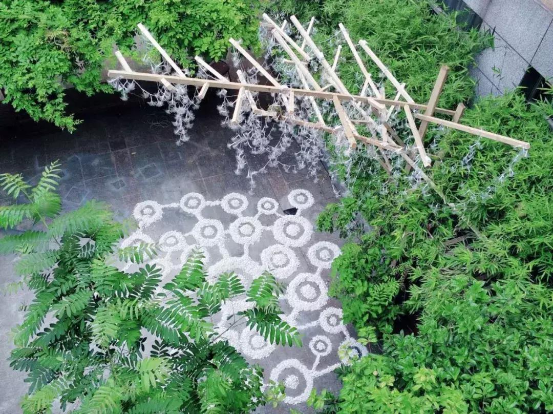 南艺爆料,南艺日常