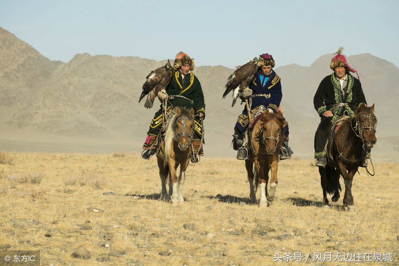 蒙古马和套马图片,蒙古套马绳子教学