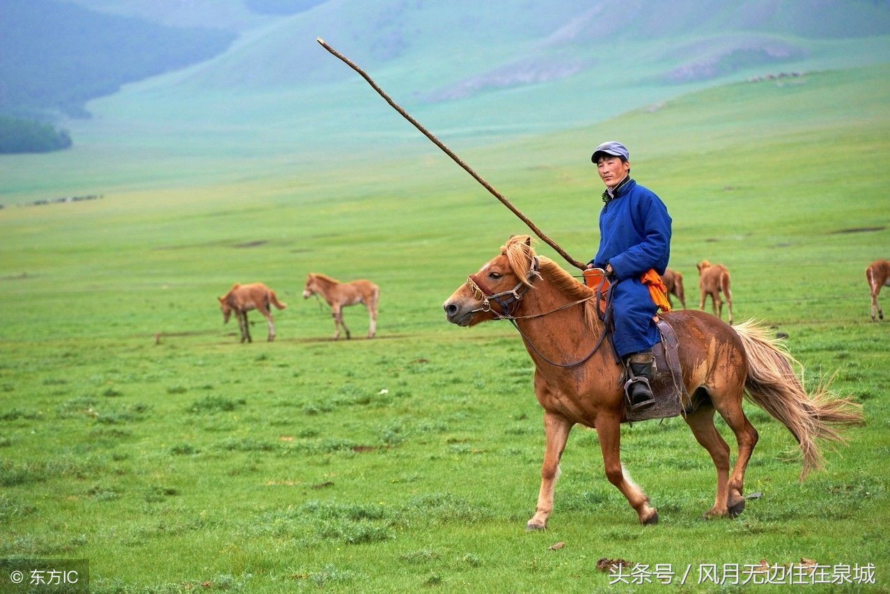 蒙古马和套马图片,蒙古套马绳子教学