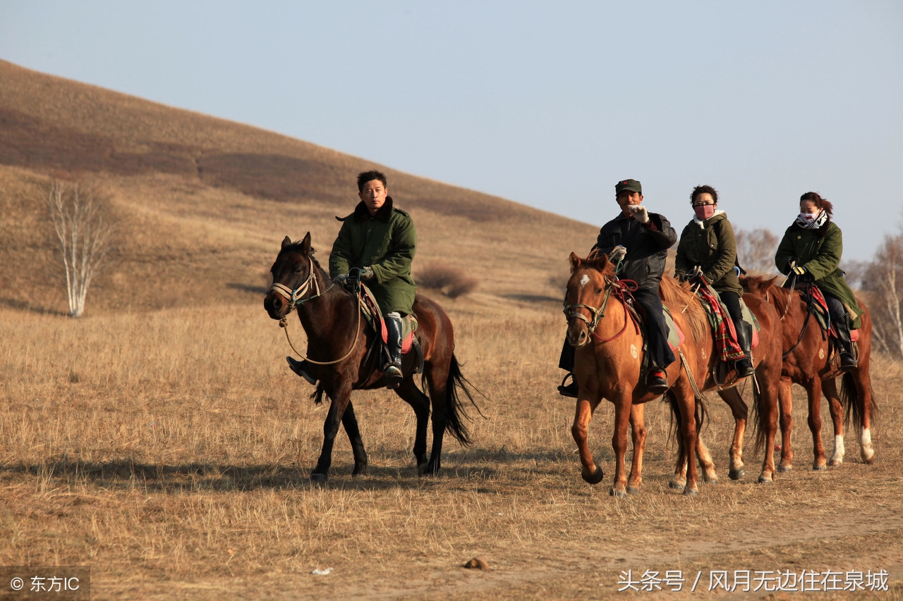 蒙古马和套马图片,蒙古套马绳子教学