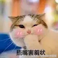 洗面奶到底哪款好用又实惠,哪款洗面奶好用又不贵