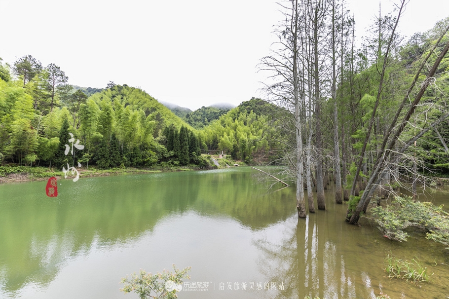 台湾阳明山简介,台湾阳明山全景