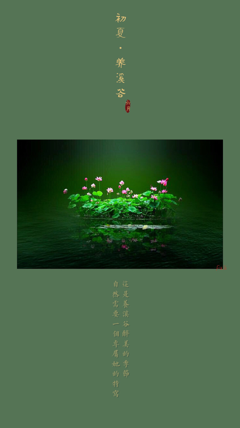 眉眼如初岁月如故简谱,眉眼如初岁月如故上一句