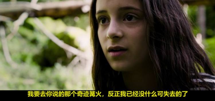 奢华版薰衣草,薰衣草甜蜜片段