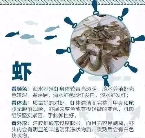 海鲜美食分享吃货日常,美食分享吃海鲜视频