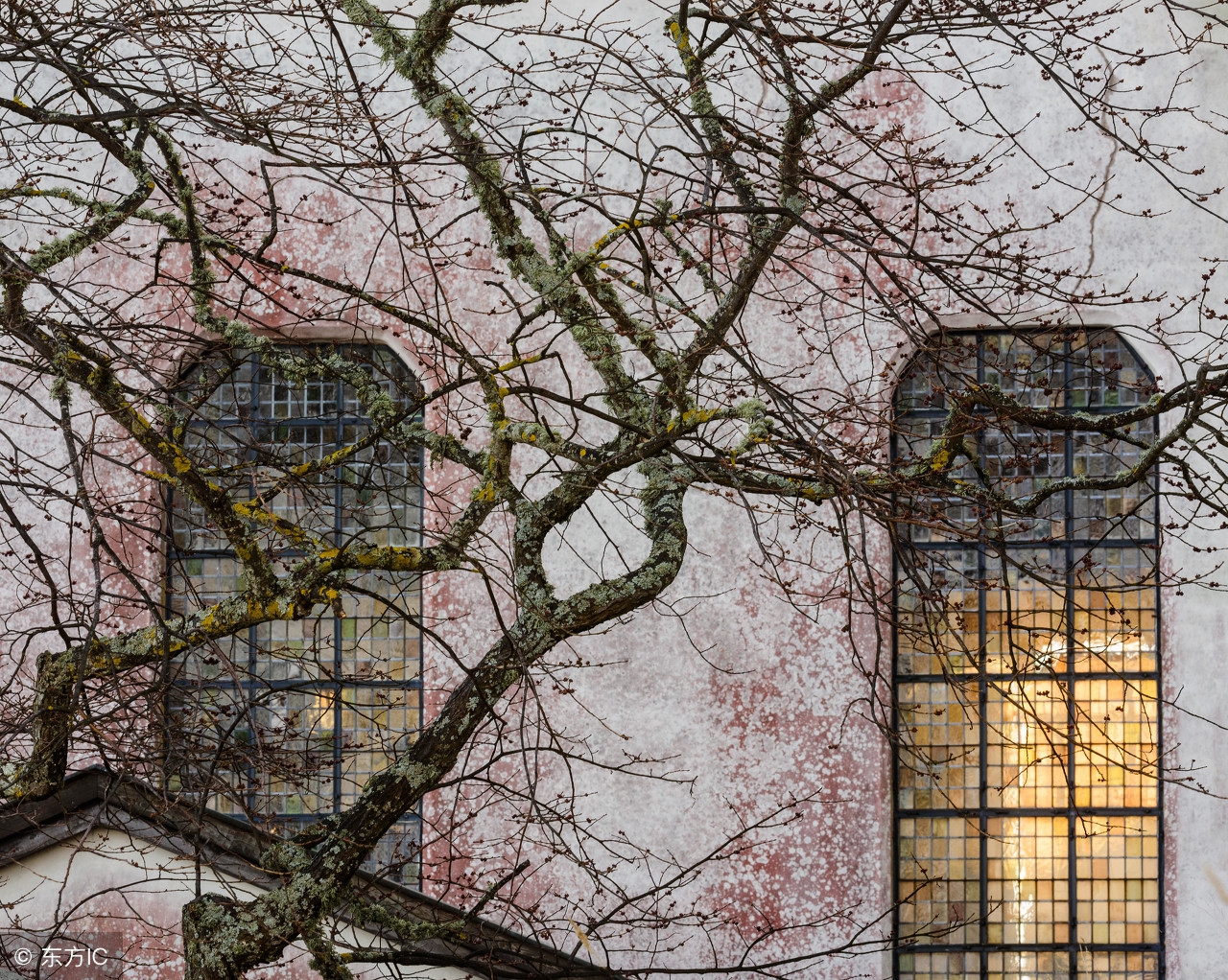 天气晴口干是什么原因,谣言天气