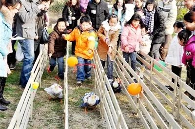 龚滩古镇酉阳桃花源,龚滩古镇音乐节