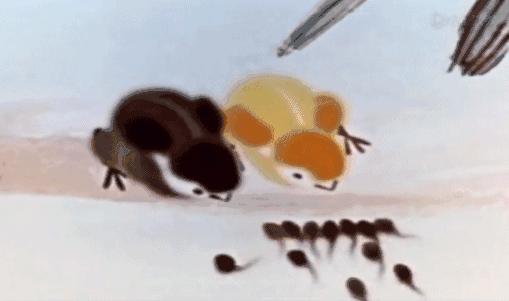 暴露年龄的时候到了,暴露年龄的时候到了电视剧