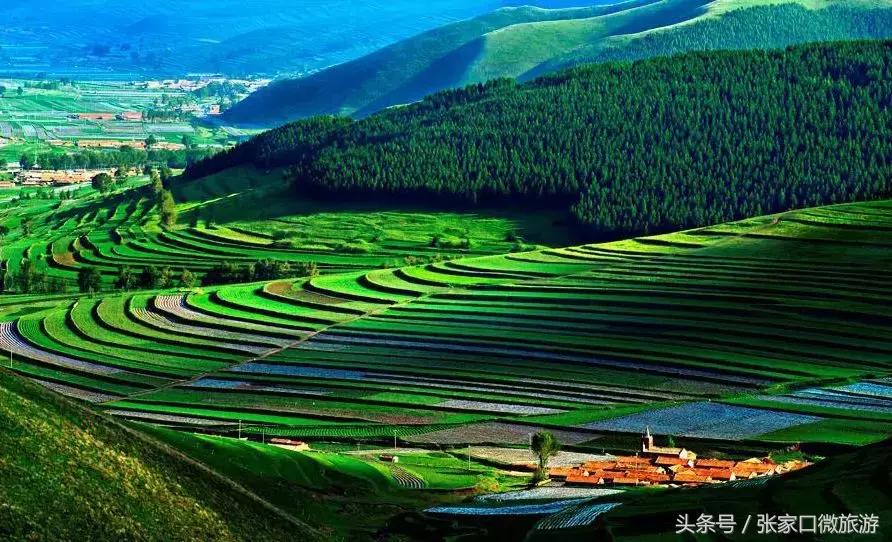 张家口避暑好去处推荐,张家口夏日旅游推荐